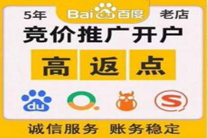 竞价排名案例：提升品牌知名度